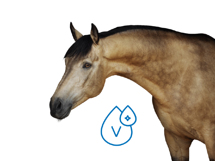 HOEV Einsatzbereich Header Mineralstoffe 1000x750px